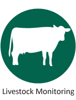 Livestock monitoring
