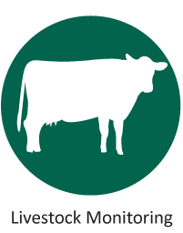 Livestock monitoring